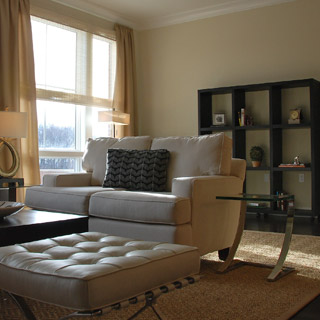 Interior Design/Build